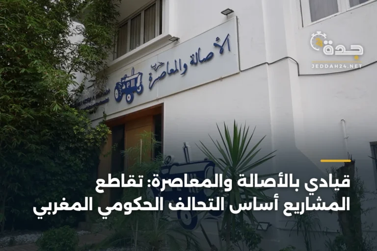 قيادي بالأصالة والمعاصرة: تقاطع المشاريع أساس التحالف الحكومي المغربي 10 article 398850