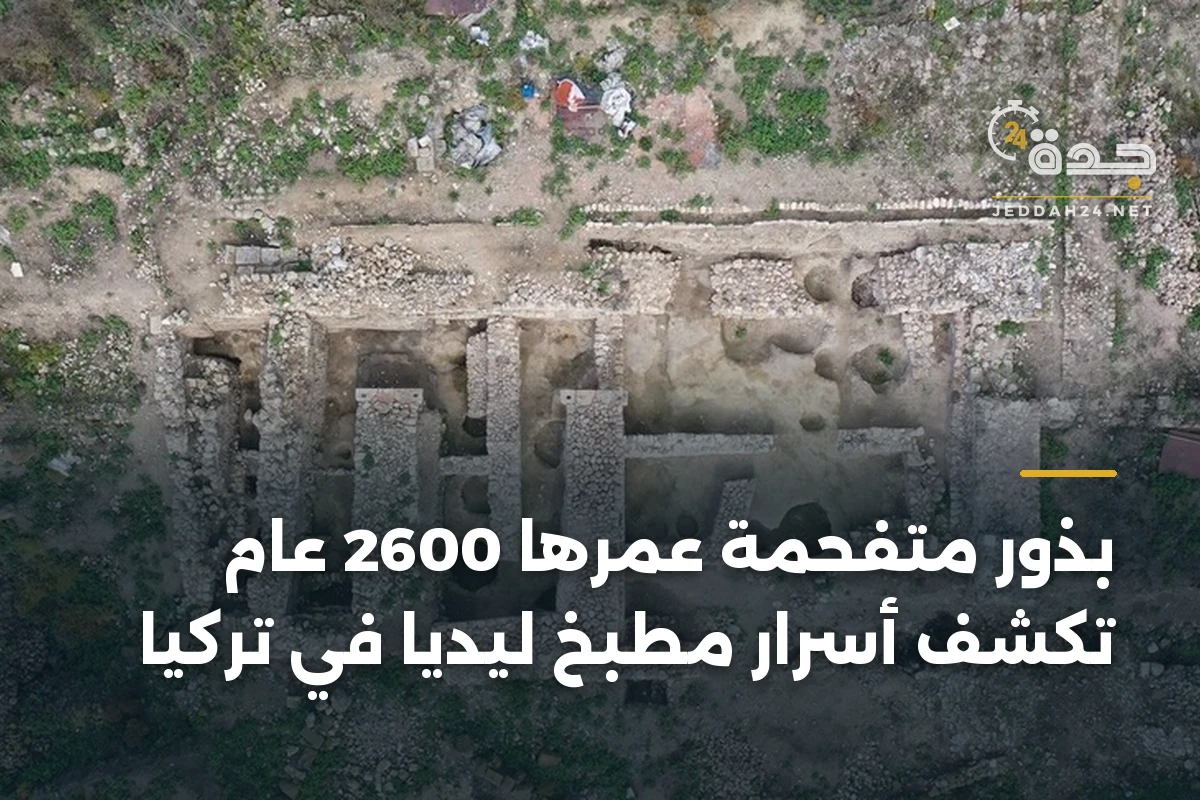 بذور متفحمة عمرها 2600 عام تكشف أسرار مطبخ ليديا في تركيا 1 بذور متفحمة عمرها 2600 عام تكشف أسرار مطبخ ليديا في تركيا