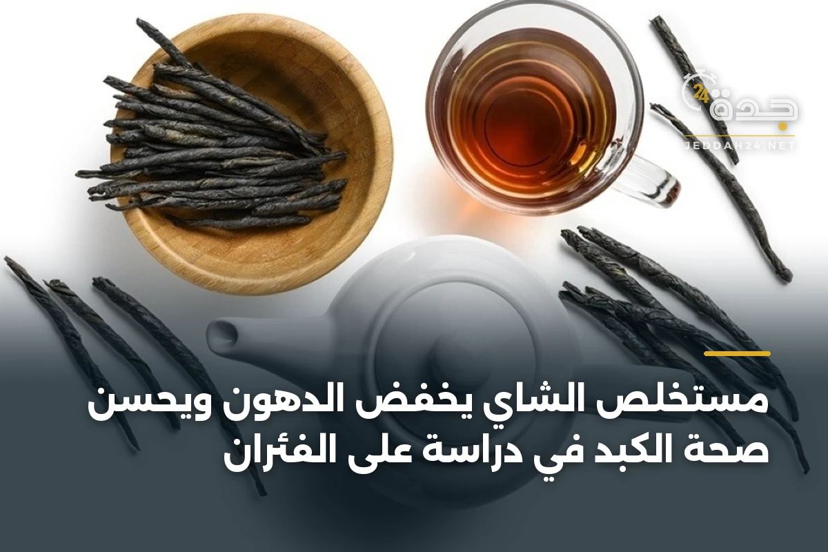 مستخلص الشاي يخفض الدهون ويحسّن صحة الكبد في دراسة على الفئران 1 مستخلص الشاي يخفض الدهون ويحسّن صحة الكبد في دراسة على الفئران