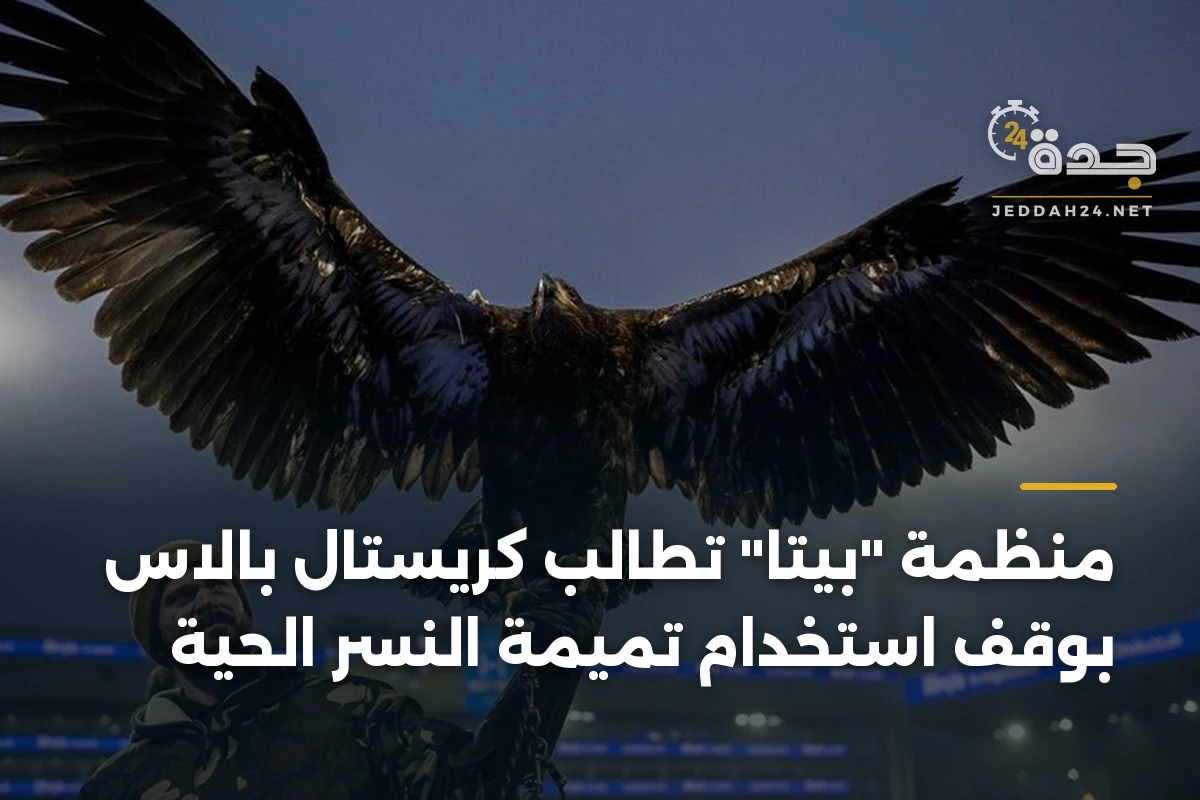 منظمة "بيتا" تطالب كريستال بالاس بوقف استخدام تميمة النسر الحية 1 منظمة “بيتا” تطالب كريستال بالاس بوقف استخدام تميمة النسر الحية
