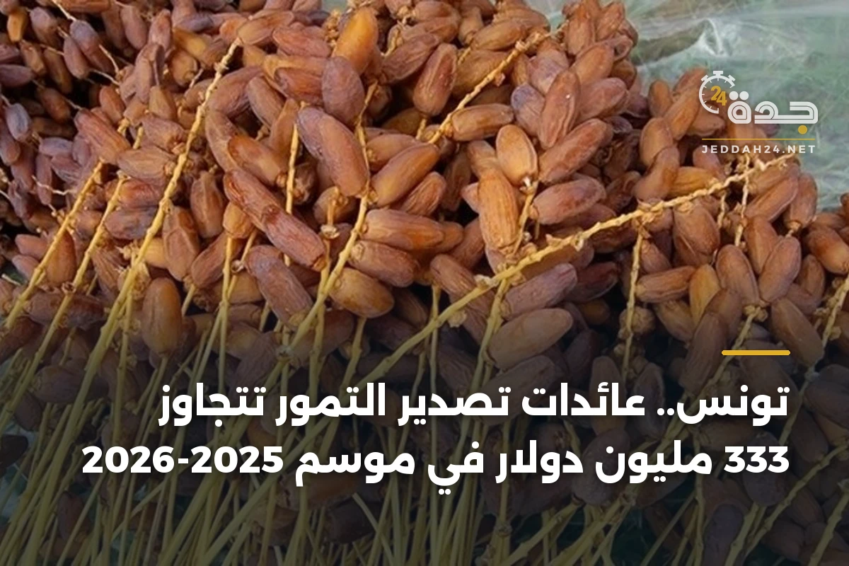 تونس.. عائدات تصدير التمور تتجاوز 333 مليون دولار في موسم 2025-2026 1 تونس.. عائدات تصدير التمور تتجاوز 333 مليون دولار في موسم 2025-2026