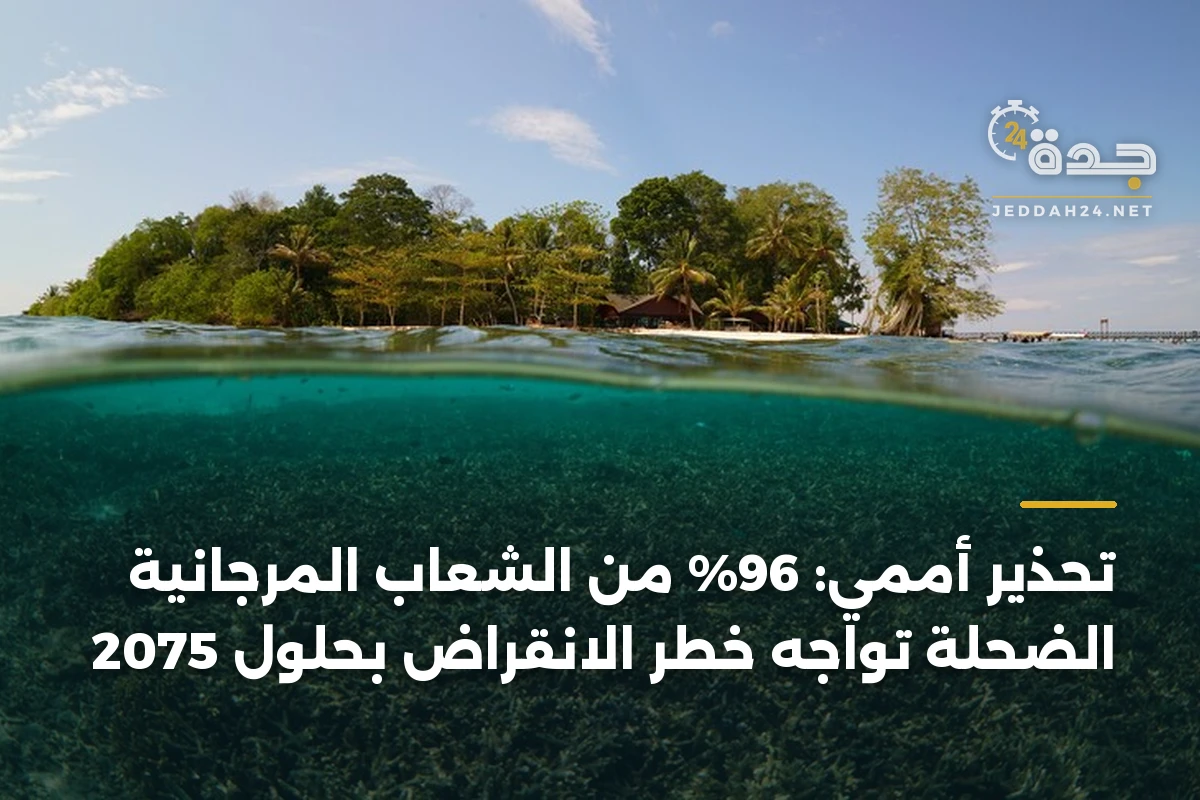 تحذير أممي: 96% من الشعاب المرجانية الضحلة تواجه خطر الانقراض بحلول 2075 1 تحذير أممي: 96% من الشعاب المرجانية الضحلة تواجه خطر الانقراض بحلول 2075