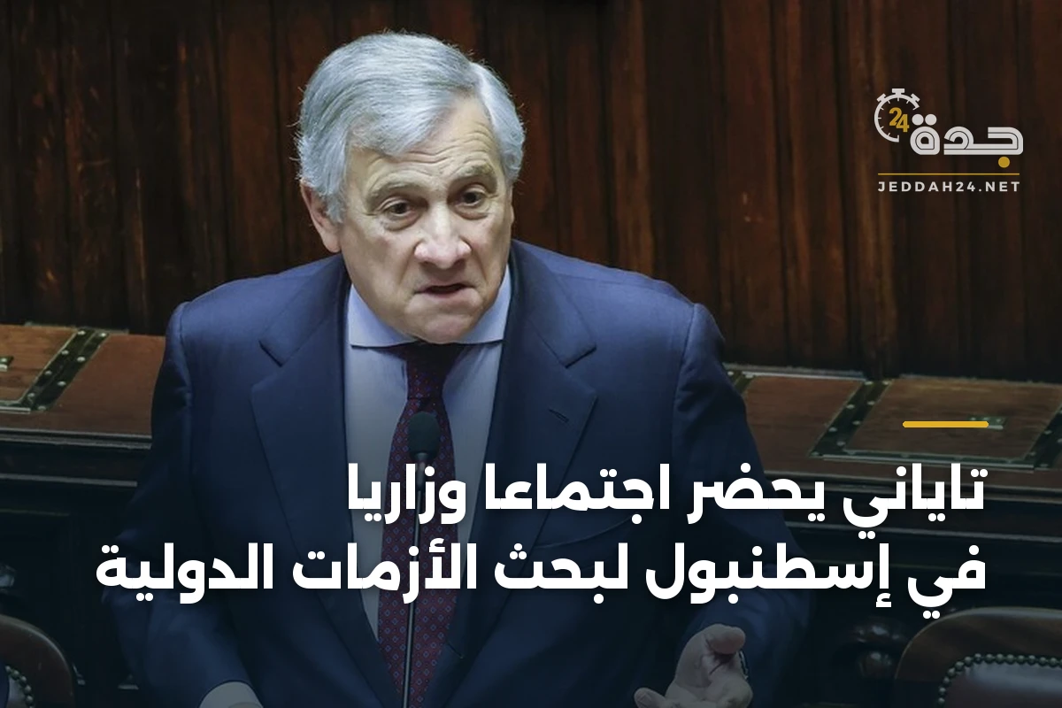 تاياني يحضر اجتماعاً وزارياً في إسطنبول لبحث الأزمات الدولية