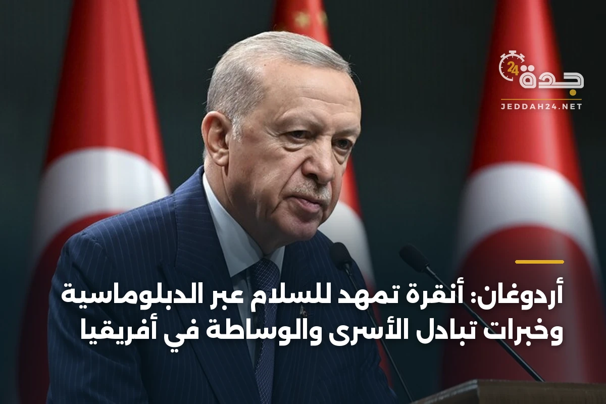 أردوغان: أنقرة تمهد للسلام عبر الدبلوماسية وخبرات تبادل الأسرى والوساطة في أفريقيا 1 أردوغان: أنقرة تمهد للسلام عبر الدبلوماسية وخبرات تبادل الأسرى والوساطة في أفريقيا