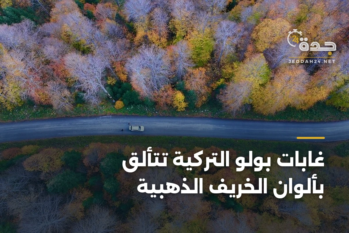 غابات بولو التركية تتألق بألوان الخريف الذهبية 1 غابات بولو التركية تتألق بألوان الخريف الذهبية