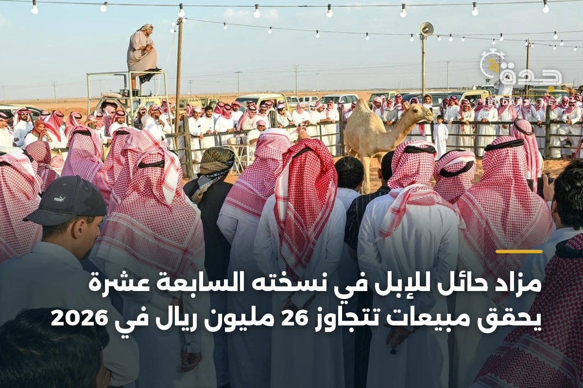 مزاد حائل للإبل في نسخته السابعة عشرة يحقق مبيعات تتجاوز 26 مليون ريال في 2026
