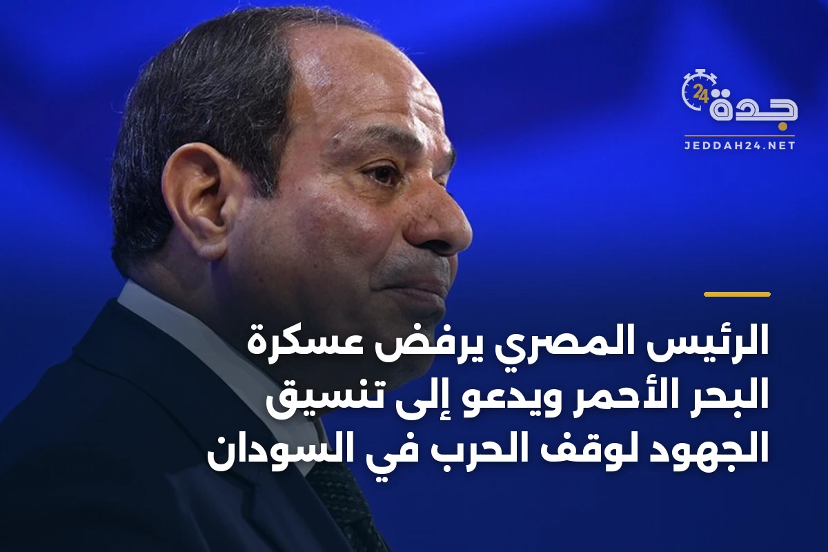 الرئيس المصري يرفض عسكرة البحر الأحمر ويدعو إلى تنسيق الجهود لوقف الحرب في السودان 1 الرئيس المصري يرفض عسكرة البحر الأحمر ويدعو إلى تنسيق الجهود لوقف الحرب في السودان