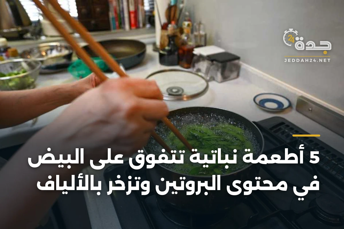 5 أطعمة نباتية تتفوق على البيض في محتوى البروتين وتزخر بالألياف 1 5 أطعمة نباتية تتفوق على البيض في محتوى البروتين وتزخر بالألياف
