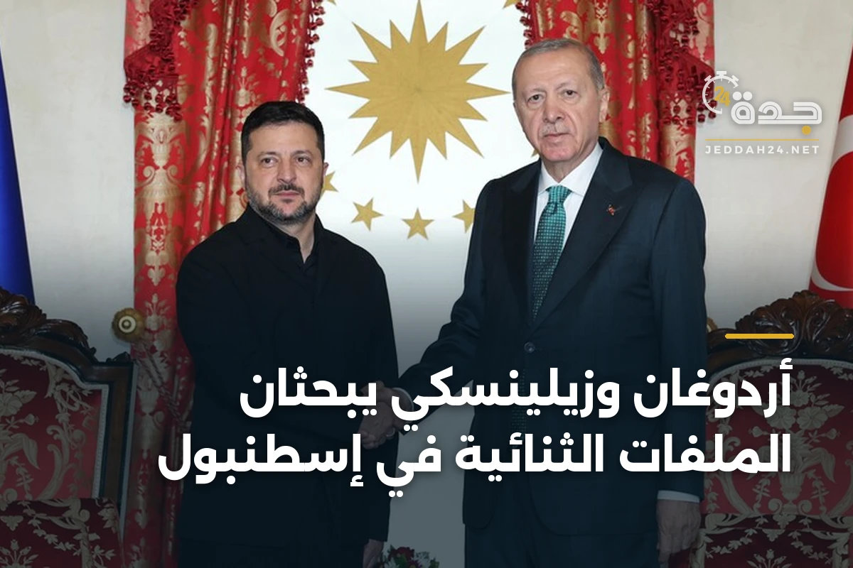 أردوغان وزيلينسكي يبحثان الملفات الثنائية في إسطنبول