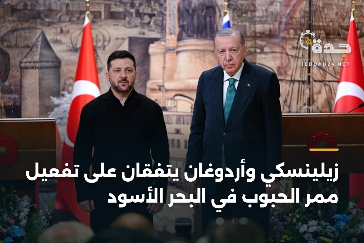 زيلينسكي وأردوغان يتفقان على تفعيل ممر الحبوب في البحر الأسود